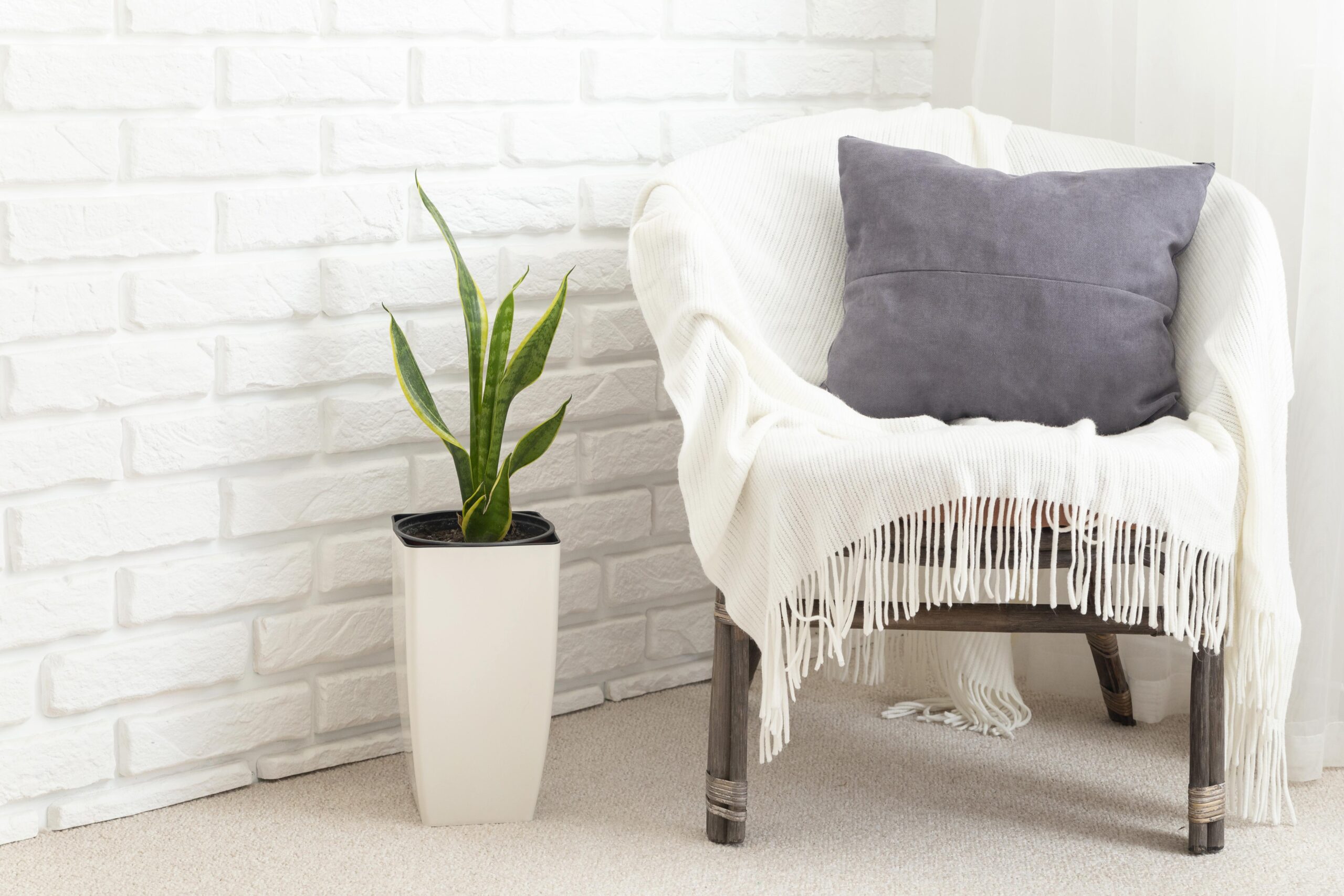 interior-room-design-with-copy-space
