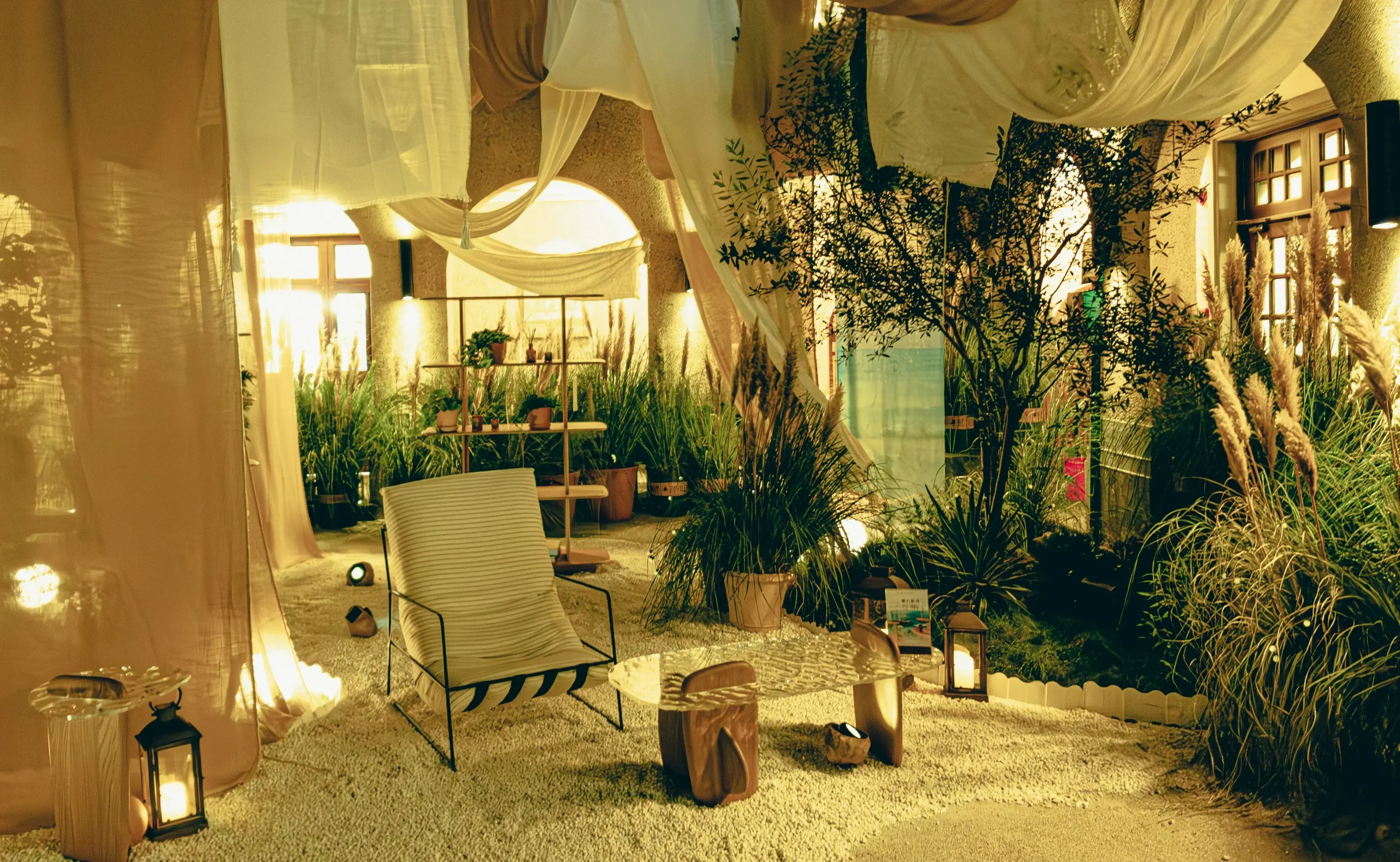 aesthetic outdoor decor with indoor plants