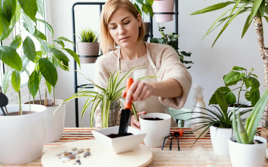 HOW TO PLANT AN INDOOR PLANT FOR BEGINNERS?